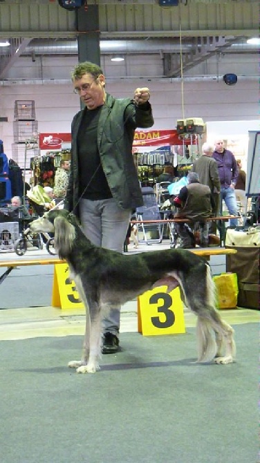 Mawdja Azad - championnat du luxembourg 2016